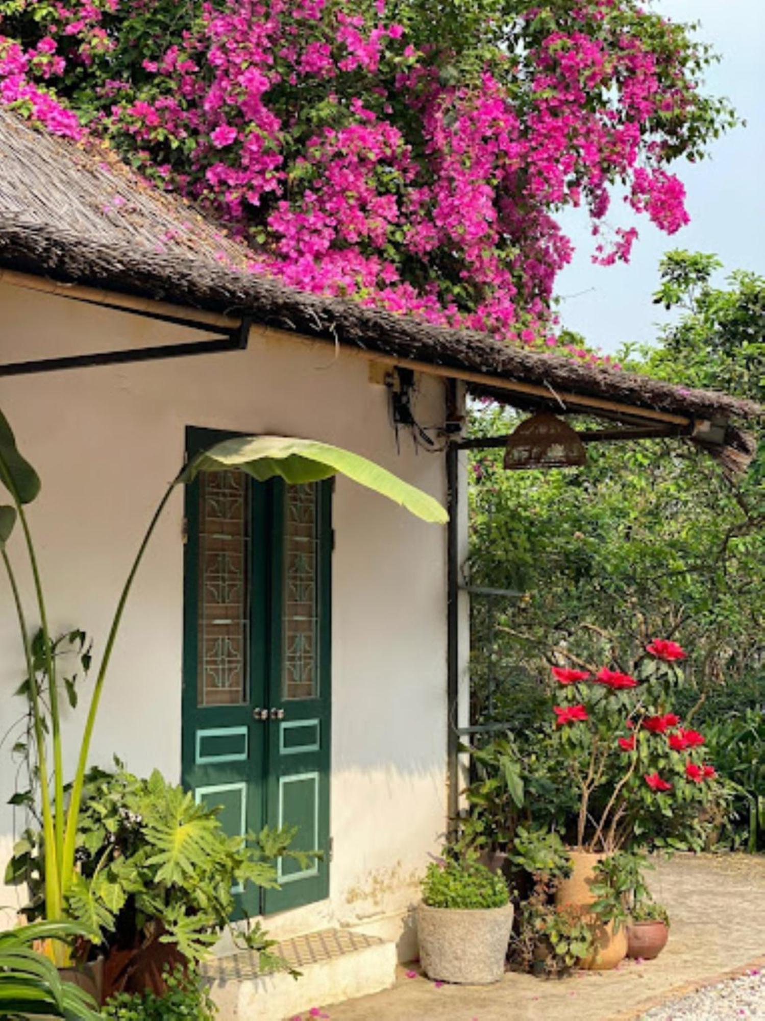 Giang House Διαμέρισμα Hòa Bình Εξωτερικό φωτογραφία